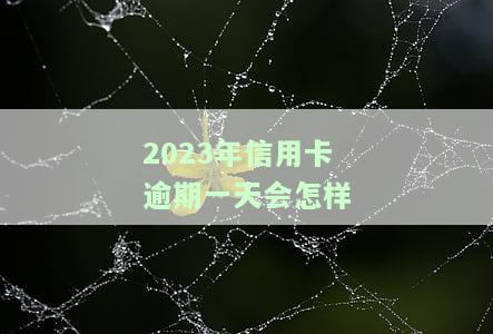 2021年信用卡逾期3天：会对征信产生影响吗？