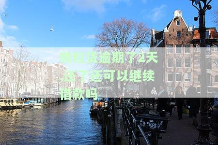 微粒贷逾期两天后还款，还能借款吗？安全性如何？