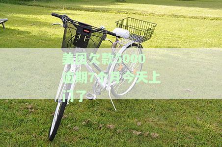 美团欠款5000逾期7个月今天上门了会怎样？其他类似情况也会被上门调查吗？