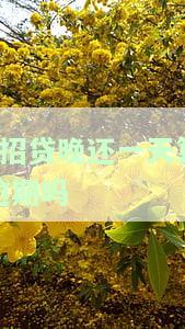 'e招贷迟还一天算逾期吗？晚还一天会影响征信和进入黑名单吗？'