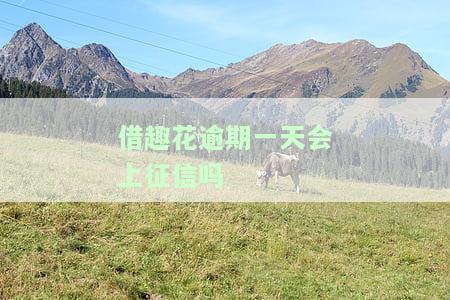 借趣花逾期会上门吗？逾期多久上征信、能免息吗？还会不会打联系人？全都知道了！