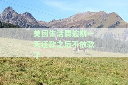 美团生活费逾期一天还款后不放款，能否再次借款及对征信的影响