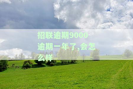 招联欠款800逾期10天会有何后果？8万、9千、1000多逾期多年结局如何？3000逾期8个月又当如何面对？上门催收的可能性有多大？