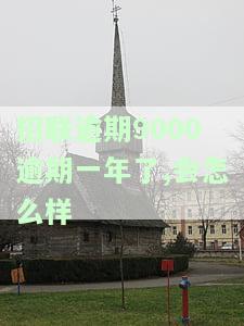 2020年招联逾期怎么办？欠款严重逾期可能导致法律后果，尽早还款以避免进一步影响。