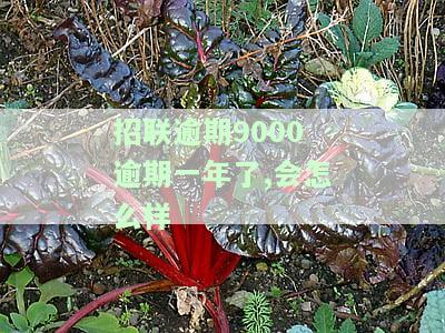 招联金融1000逾期三个月，严重后果是什么？已逾期三年应还多少？欠款6个月未还会有何影响？欠款3000逾期半年是否会坐牢？