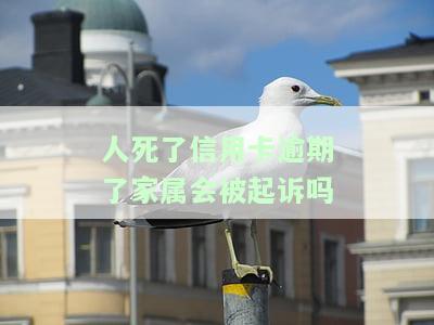信用卡欠款低于5万不予立案：真的吗？会影响房贷吗？指本金吗？