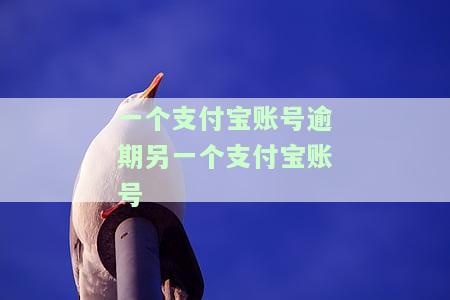 一个支付宝逾期后，另一个支付宝账户的资金会被冻结或扣划吗？
