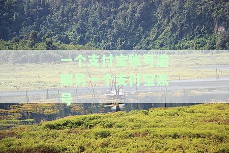 一个支付宝账号逾期另一个支付宝账号-一个支付宝账号逾期另一个支付宝账号还能用吗