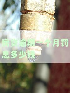 房贷拖欠一个月下个月是否要一并还款？如逾期无力偿还该怎么办？最长可拖欠多久？房贷断供三年有无问题？逾期2个月的影响有多大？