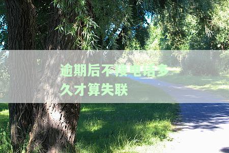 逾期后不接电话会怎样？影响与处理方式全解析