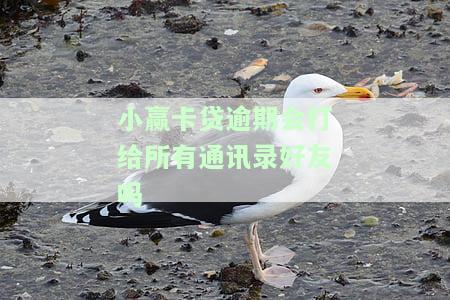 小赢卡贷逾期是否会去工作地催收？还会爆通讯录吗？多久会打紧急联系人电话？法院起诉是真是假？附催债流程