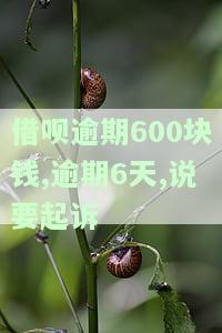 借呗逾期62天要和我打官司：如何应对诉讼威胁？