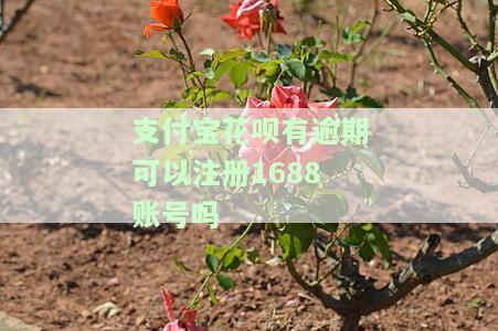 花呗逾期后还能注册营业执照吗？安全吗？怎么办？