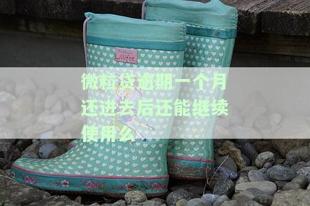 微粒贷逾期一个月需全部还款，有何后果？能否继续使用？