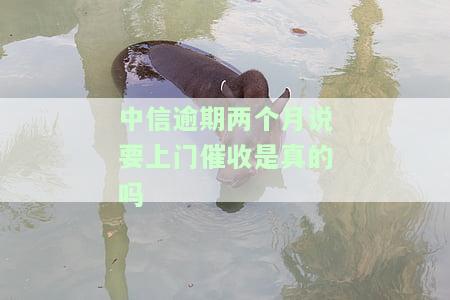 中信逾期两个月说要上门催收是真的吗-中信逾期两个月说要上门催收是真的吗吗