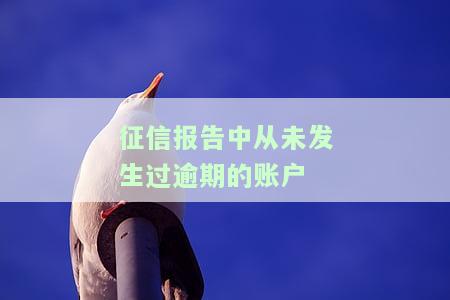 如何在征信报告中查看从未逾期的账户余额及明细？