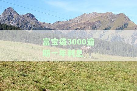富宝袋逾期多久会打紧急联系人电话？影响及后果解析