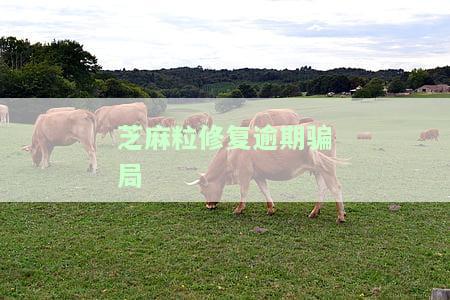 5月1日起取消征信逾期记录：是真的吗？针对企业和个人都有影响吗？