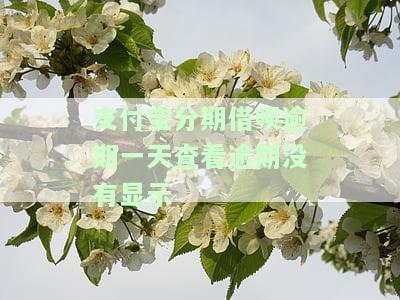 借呗分期逾期一天会影响使用吗？逾期还款有何后果？