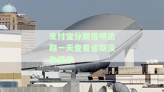支付宝分期借呗逾期一天查看逾期没有显示