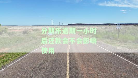 分期乐逾期一天后还款会影响征信吗？了解可能的后果及影响！
