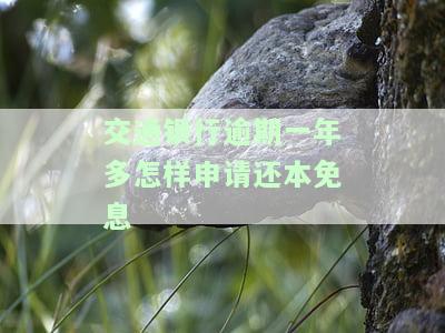 交通银行逾期两年：如何申请减免利息？