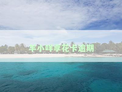 羊小咩享花卡逾期几天催收？是否会影响通讯录？能否协商延期还款？如何联系客服？