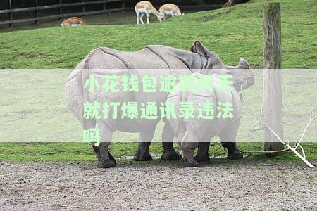 小花钱包逾期两天会否拨打通讯录电话催收？包括紧急联系人在内吗？