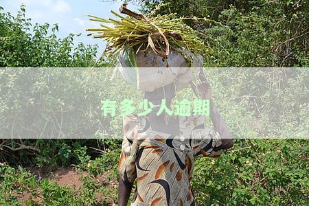 中国有多少人逾期？包括网贷、无法偿还贷款情况，截至2023年数据
