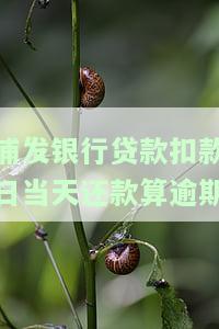 浦发银行贷款扣款日当天还款算逾期吗？扣款时间和影响解析