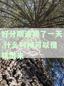 好分期逾期一天是否会影响再次借款及正常使用？