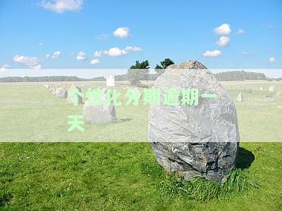 个性化分期逾期一天-个性化分期逾期一天怎么办