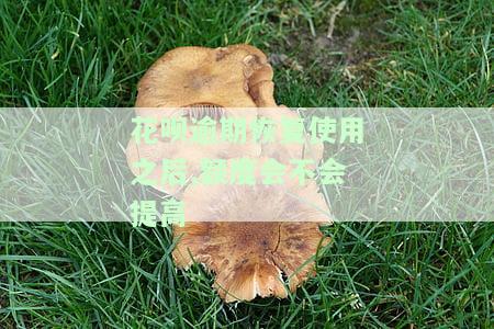 花呗逾期恢复使用后，额度会提高吗？逾期还款后额度能否再次使用？