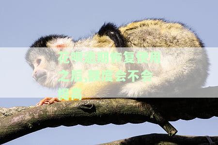 花呗逾期已还款，如何恢复征信及额度？