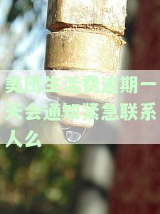 美团生活费逾期一天会通知紧急联系人么-美团生活费逾期一天会通知紧急联系人么