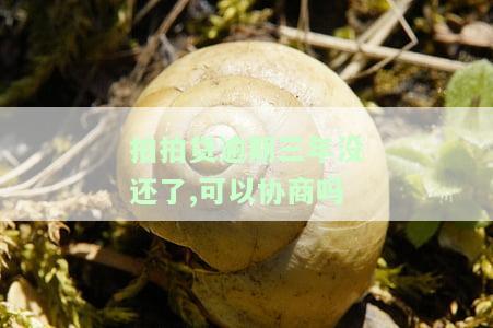 拍拍贷逾期三年没还了,可以协商吗