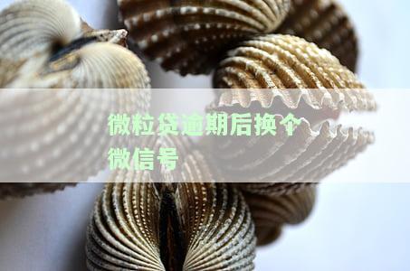 2023年逾期无力还款最佳处理方法：避免接听电话，专注于解决银行贷款问题