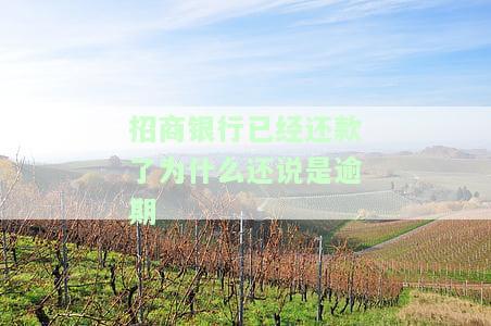 招商银行已经还款了为什么还说是逾期-招商银行已经还款了为什么还说是逾期了