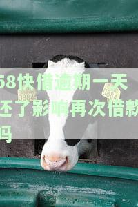 58快借晚还款一天：逾期影响及是否上征信？