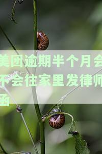 美团逾期半个月会不会往家里发律师函-美团逾期半个月会不会往家里发律师函呢