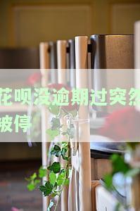 花呗没逾期过突然被停-花呗没逾期过突然被停用