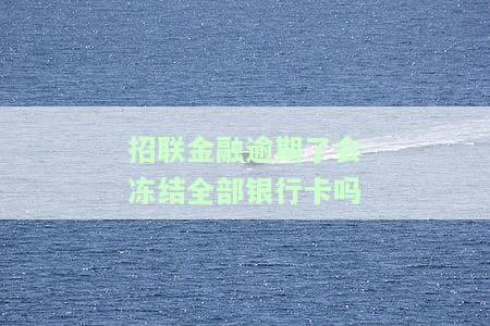 招联金融逾期两天：账户将被冻结，如何应对？
