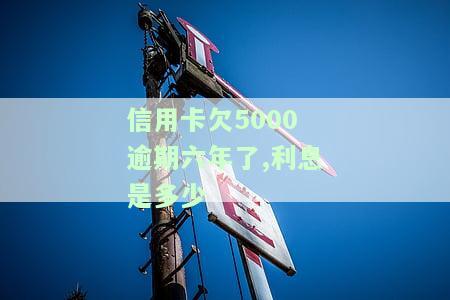 5000块信用卡逾期一年利息及总费用是多少？逾期一年会坐牢吗？