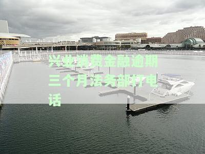 兴业消费金融贷款逾期几个月了是否可以只还本金？逾期后果与诉讼时间