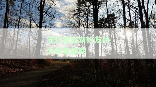 支付宝逾期修复好友助力：助力好友获得修复资格，冻结与解冻操作说明，逾期修复成功的含义及申请流程