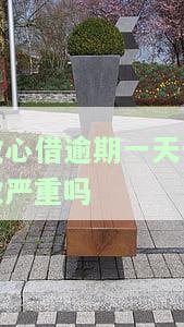 放心借逾期一天即催收，频繁骚扰令人恶心，应如何应对？