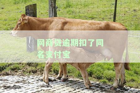 网商贷逾期扣同名支付宝后能否继续使用？安全吗？会不会影响其他支付宝账户？