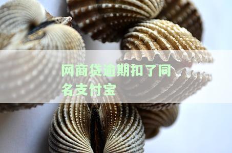 网商贷逾期扣了同名支付宝-网商贷逾期扣了同名支付宝可以投诉吗