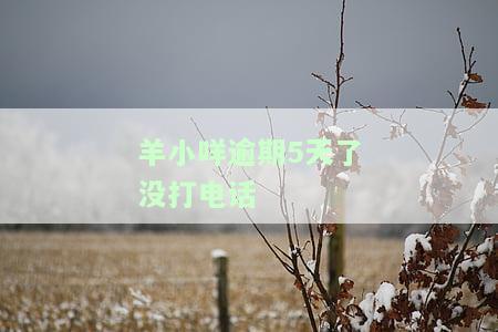 如何防止网贷逾期后的通讯录曝光？全面解析及防范措施