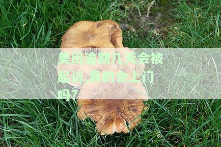 美团逾期几天会被起诉？真的会上门吗？安全吗？
